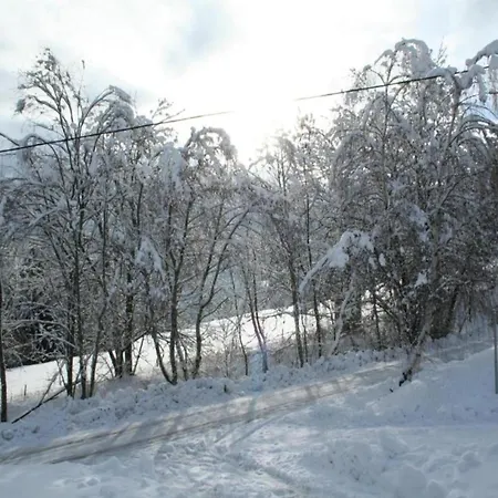 In Turracherhoehe Near Slopes Dağ evi *