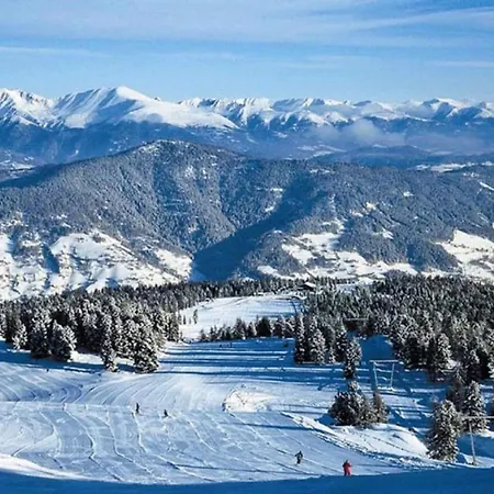 In Turracherhoehe Near Slopes Dağ evi