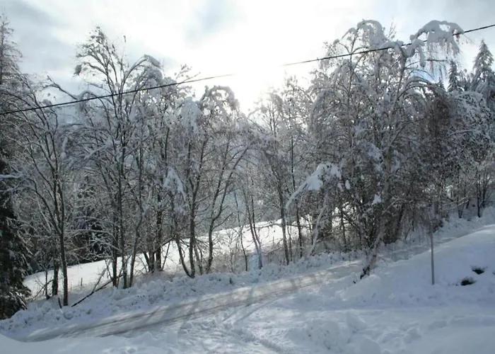 In Turracherhoehe Near Slopes בקתה *